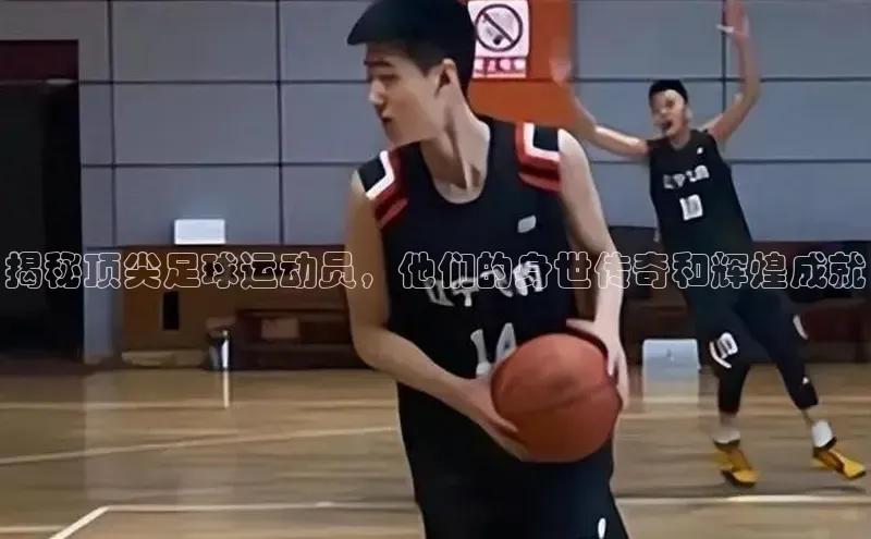 杏悦娱乐登录注册百度翻译App