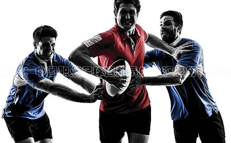 杏悦娱乐登录挪威主权基金