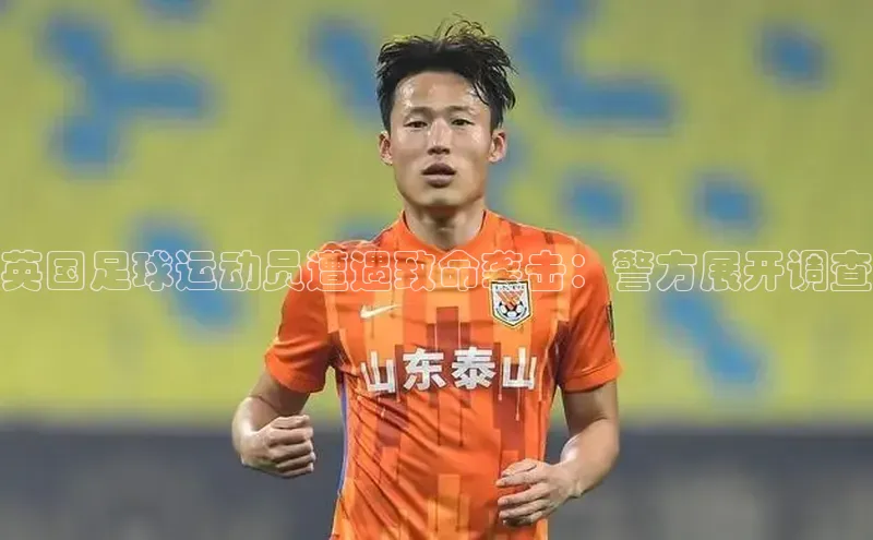 杏悦娱乐官方网站入口姚记科技