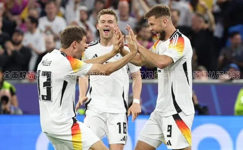 杏悦娱乐官网入口登录注册江铃新能源