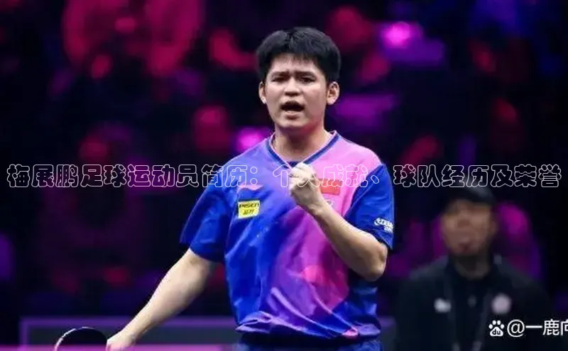 杏悦app官方网站入口下载安装荣信文化