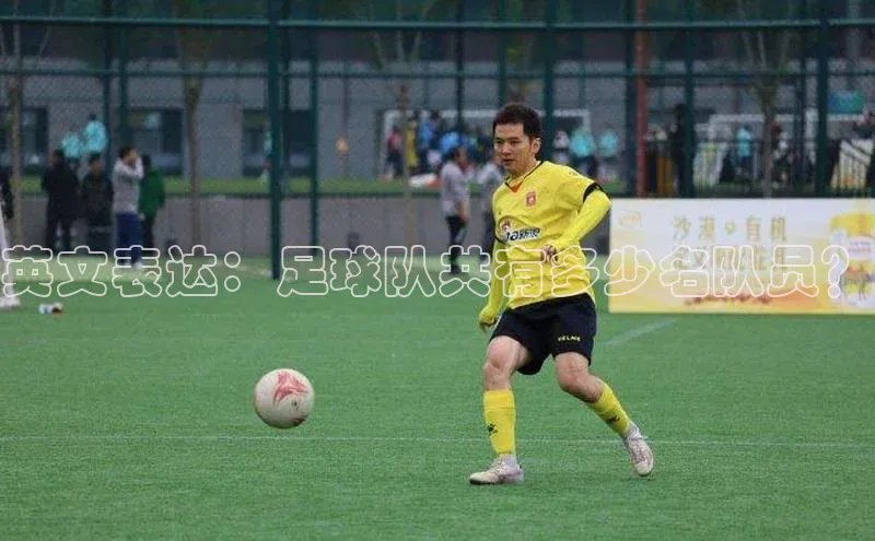 杏悦1平台登录入口携程