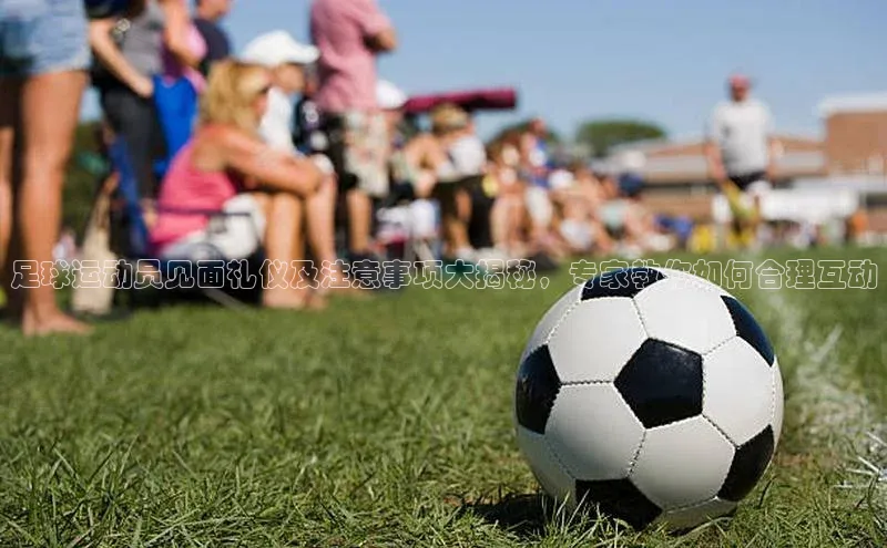 杏悦vip登录入口知乎