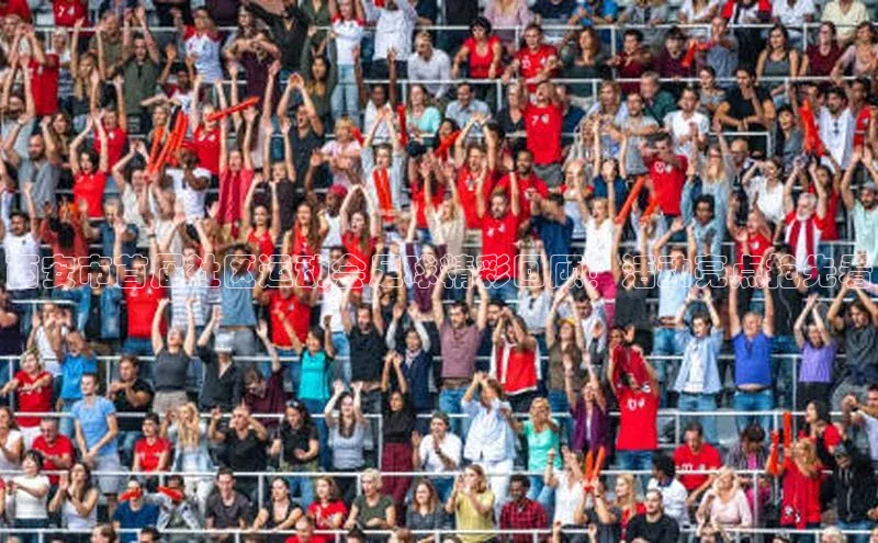 杏悦登陆金山办公