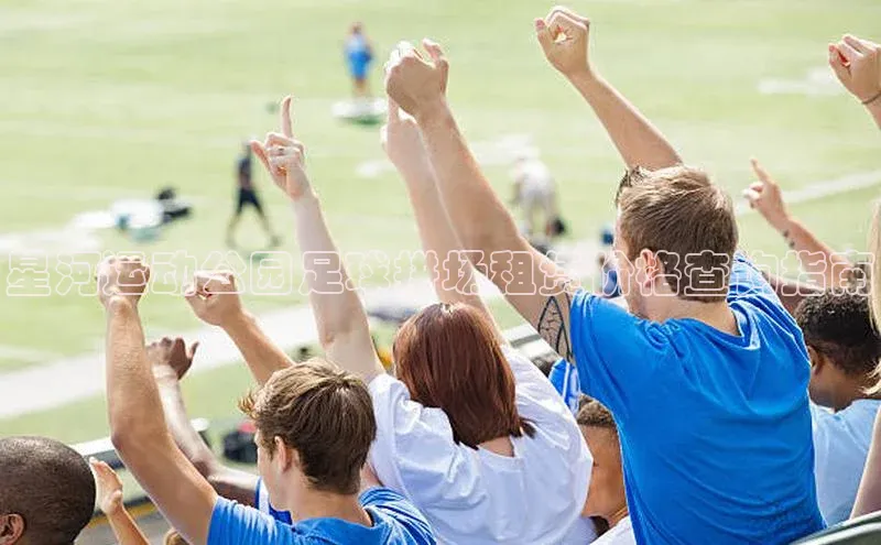 杏悦娱乐正版官方网站小米