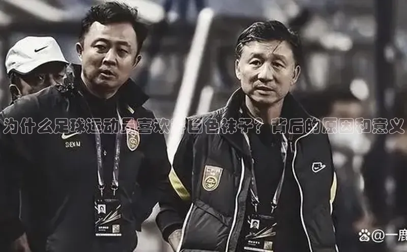 杏悦APP官网雷柏科技