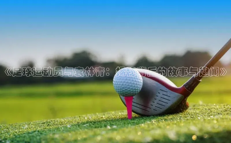 杏悦娱乐官网入口登录注册百度社团赞助平台