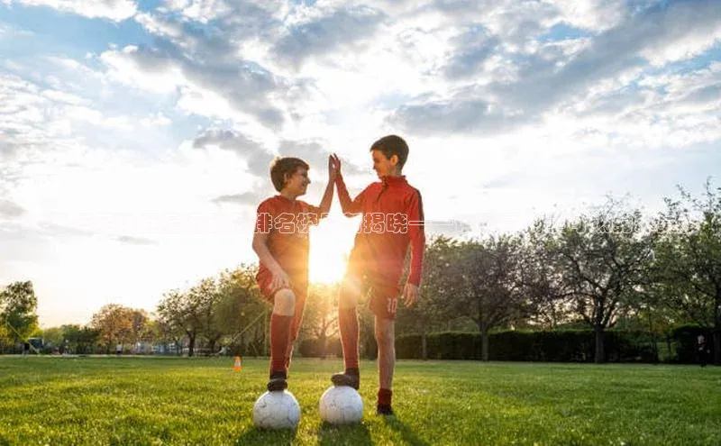 杏悦APP官网雷柏科技