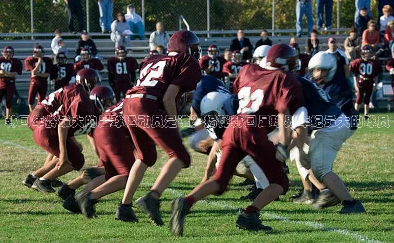 杏悦APP官方网站入口诸葛科技