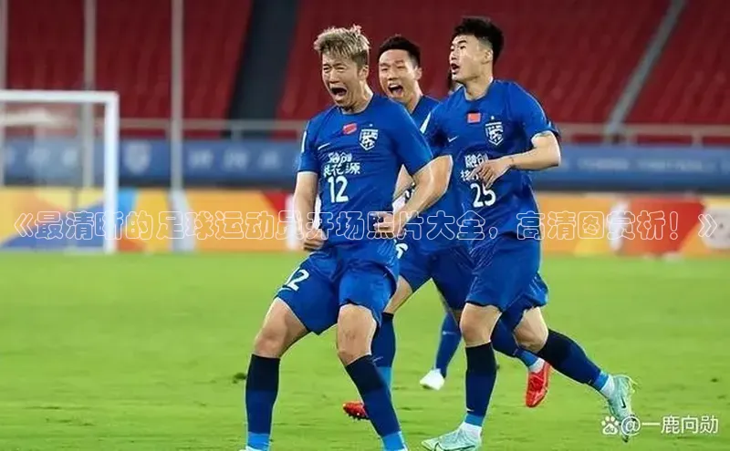 杏悦娱乐注册平台遥望科技