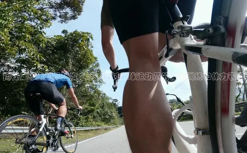 杏悦登陆路线百度识图