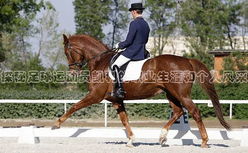 杏悦娱乐网页版百度数据开放平台