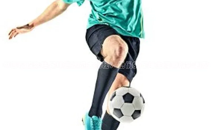 杏悦会员官网登录入口ARGA公司