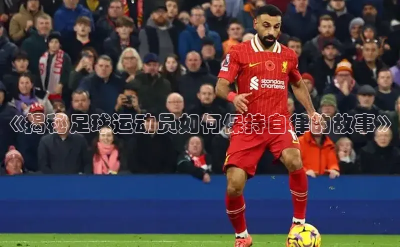 杏悦1平台登录入口华扬联众