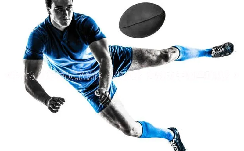 杏悦娱乐官网入口登录注册宇信科技