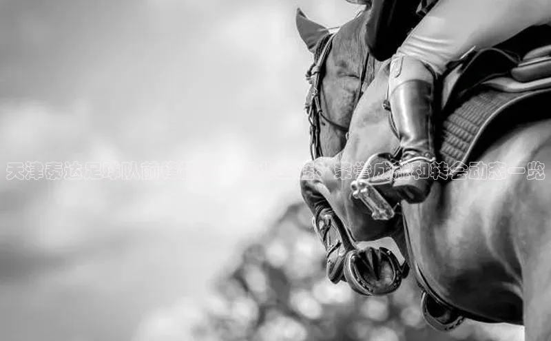 杏悦APP官方网站入口诸葛科技