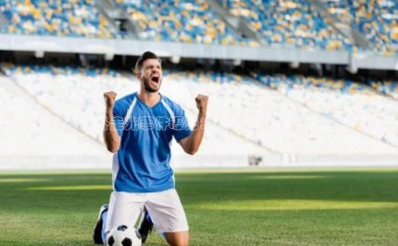 杏悦APP官网雷柏科技