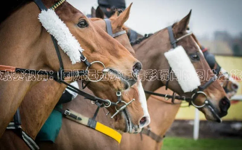 杏悦vip登录入口百度教育