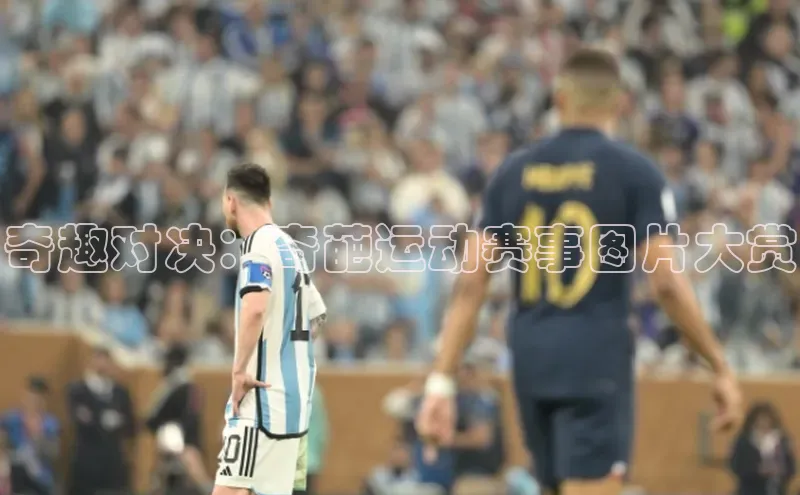 杏宇平台登录入口2024最新版