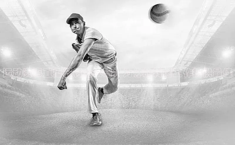 杏宇平台登录入口注册账号