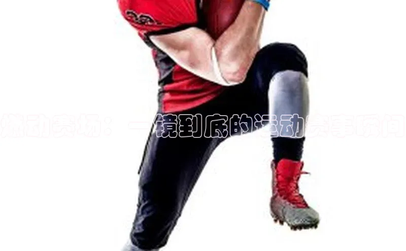 杏宇平台登录入口2024最新版