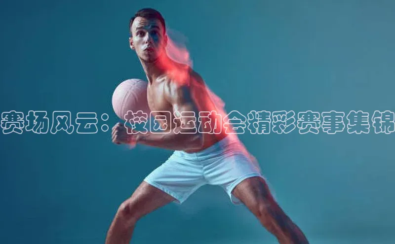 杏宇平台登录官网