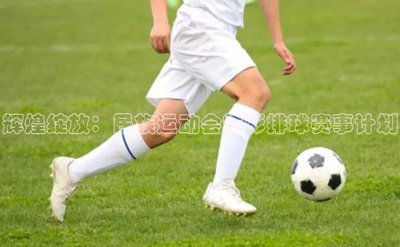 杏宇平台登录官网