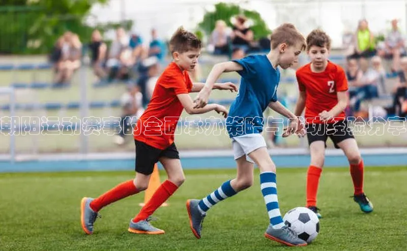 杏宇平台代理注册