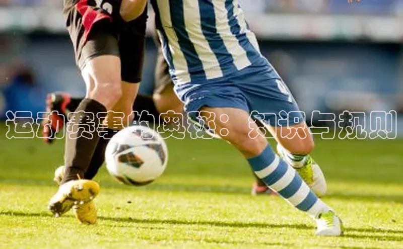 杏宇平台代理注册