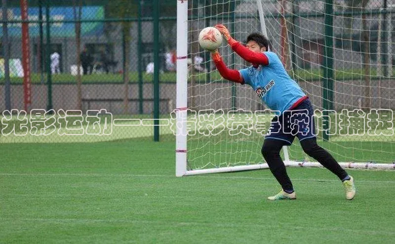 杏宇平台登录官网