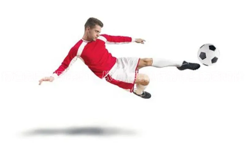 杏宇娱乐平台登录