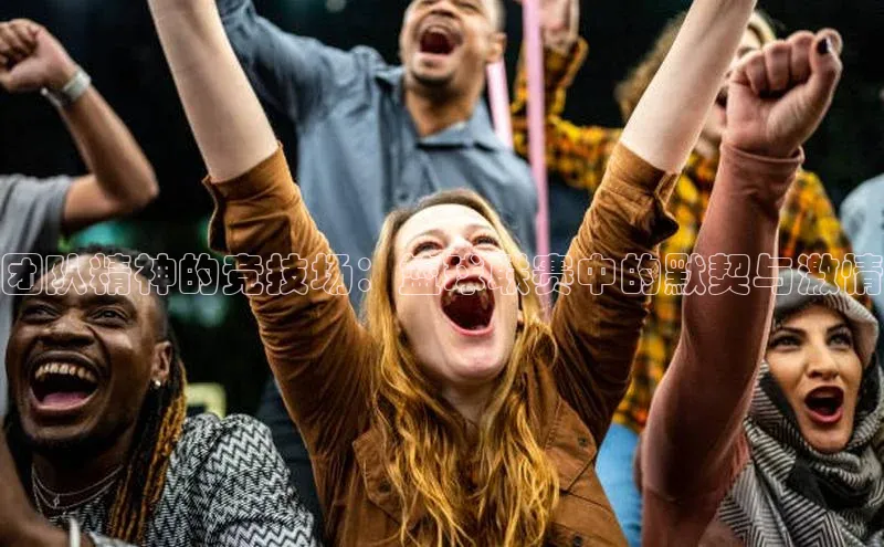 杏宇平台登录入口2024最新版