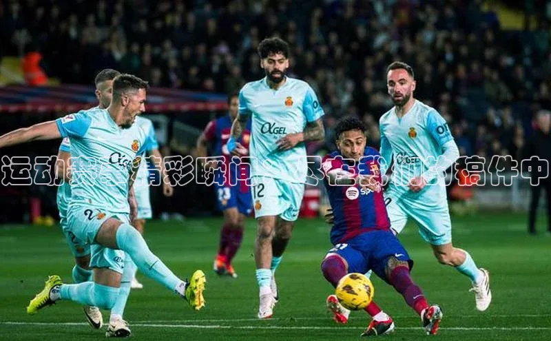 杏宇平台代理注册