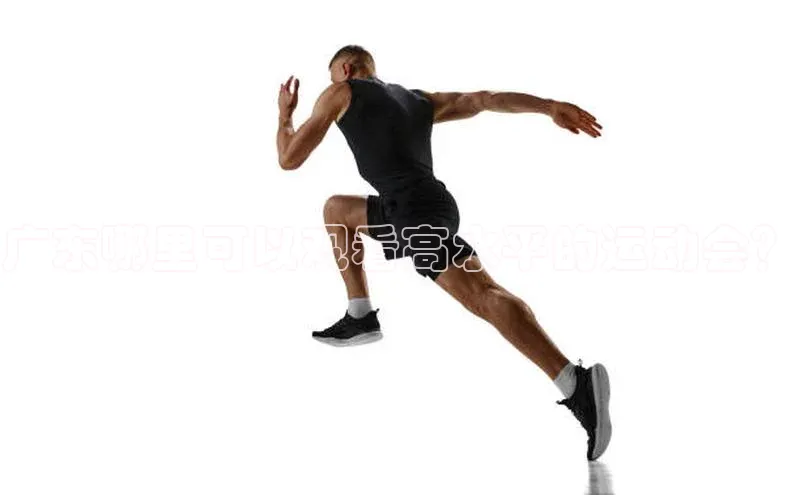 杏宇平台登录入口2024最新版