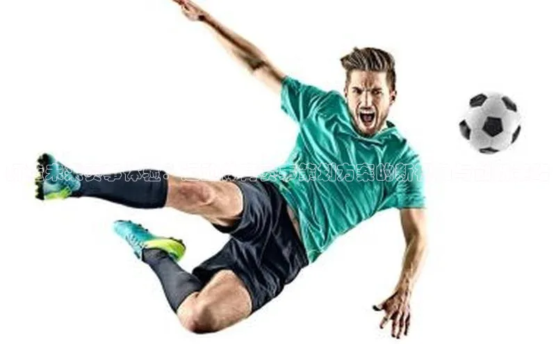 杏宇平台登录入口2024最新版