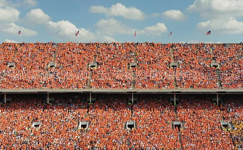 杏宇手游官网入口最新版本更新内容