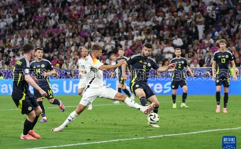 杏宇娱乐app官方下载