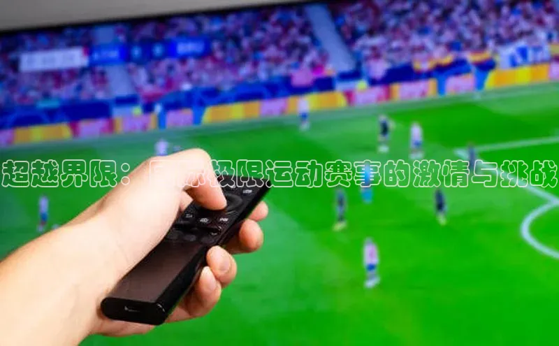 杏宇平台登录入口2024最新版