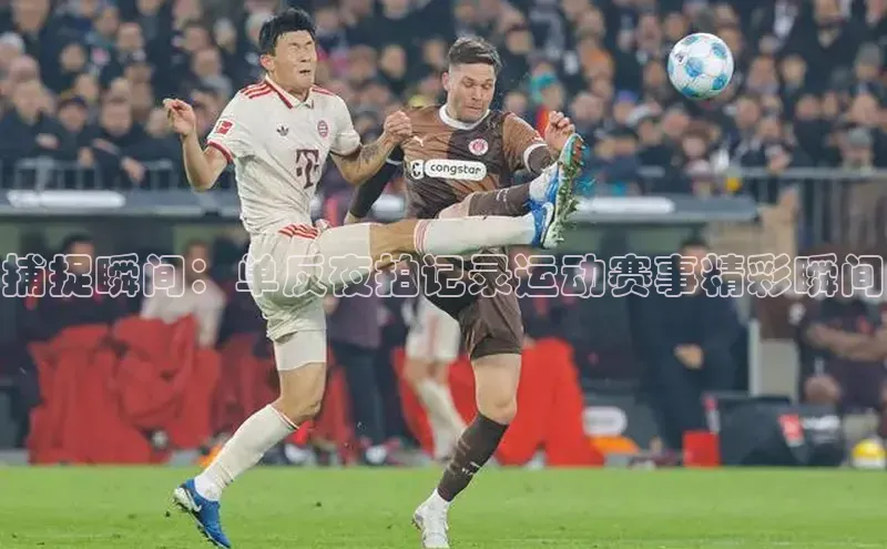 杏宇平台登录官网